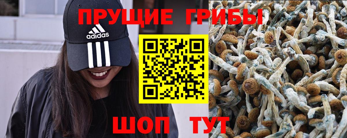Псилоцибиновые грибы мухоморы Екатеринбург