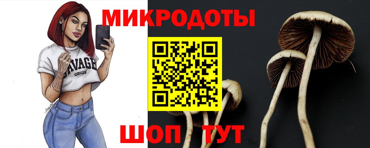 Галлюциногенные грибы MAGIC MUSHROOMS  Галлюциногенные грибы Cubensis  Вход с VPN  Екатеринбург 